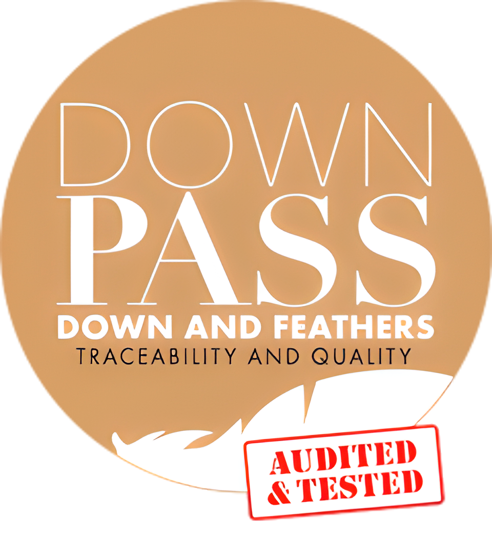 logo Down Pass