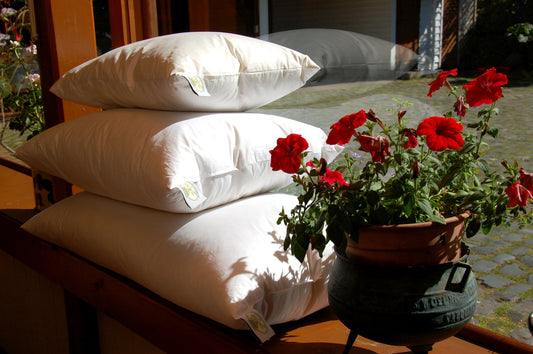 ¿Como escoger tu almohada perfecta?