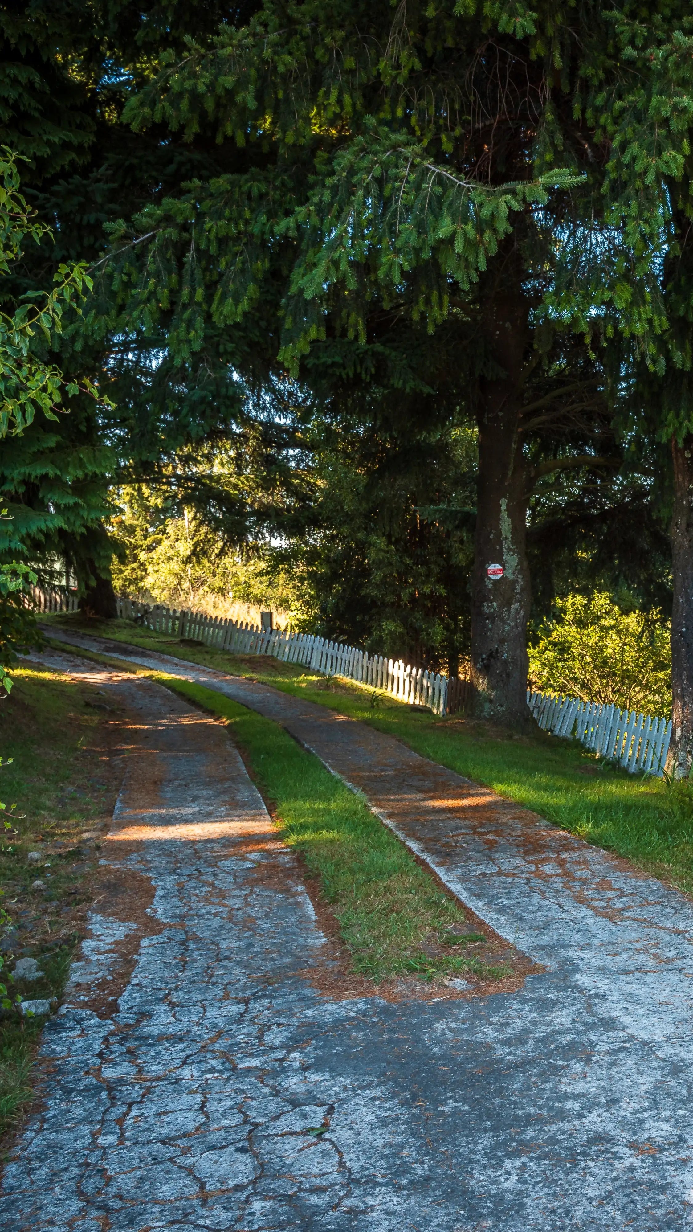 Entrada principal a La Casa de los Gansos en Puerto Varas, rodeada de árboles y naturaleza.